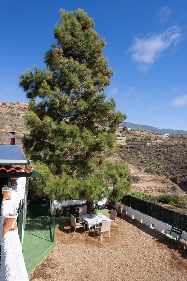 La Zarza Rural Experience By Sunkeyrents Villa Santa Cruz de Tenerife Bagian luar foto